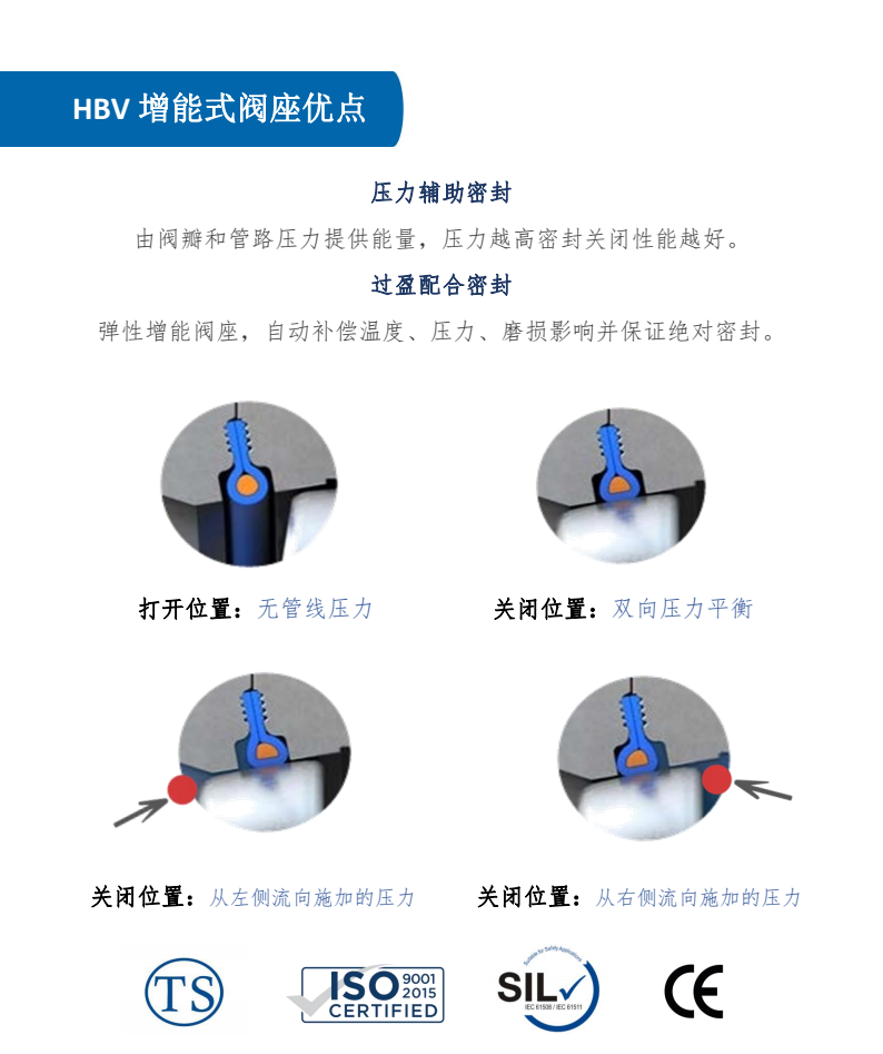 HBV双向密封_4.png